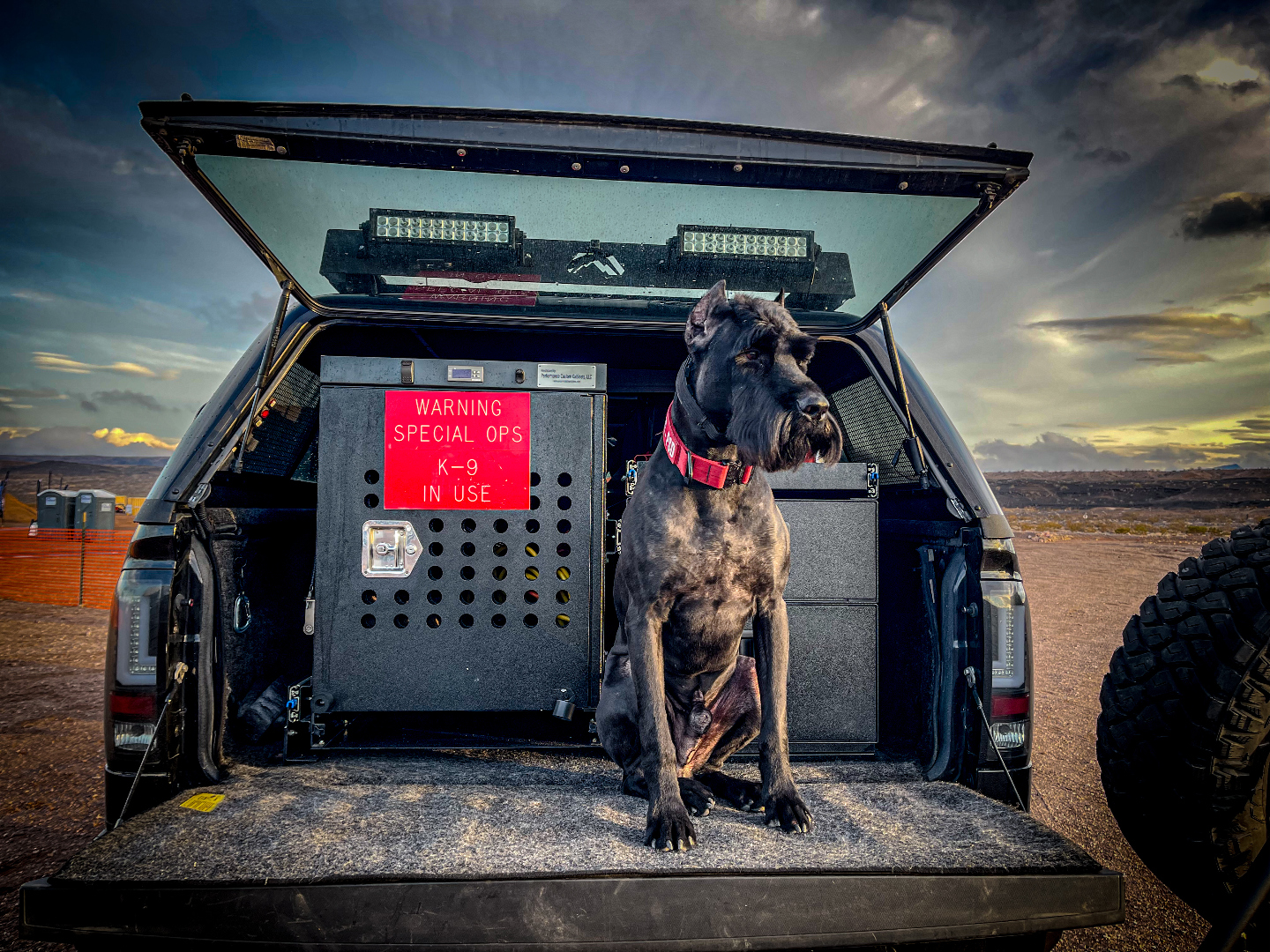 K1K9 Giant Schnauzer — lineage frame 03