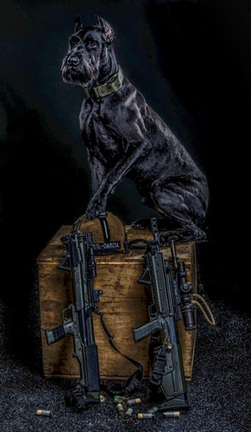 CSO K9 MAX at his majestic peak — seated on the STL-Garcia ammo crate above the working guns