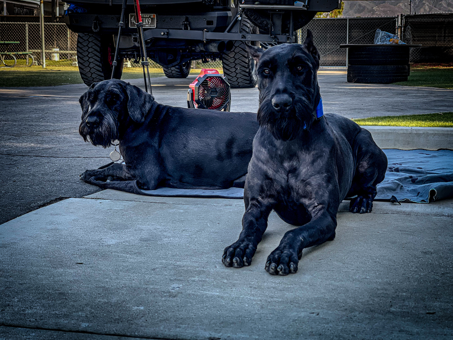 KESP behavioral response training